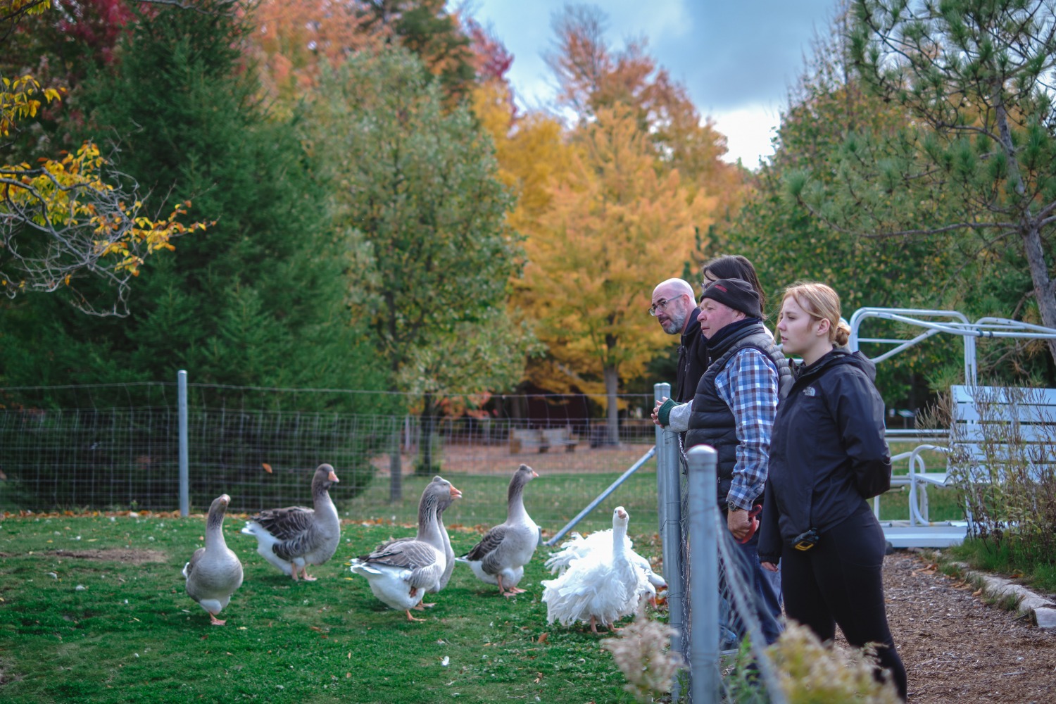 Verger Champêtre gîte & compagnie Granby région