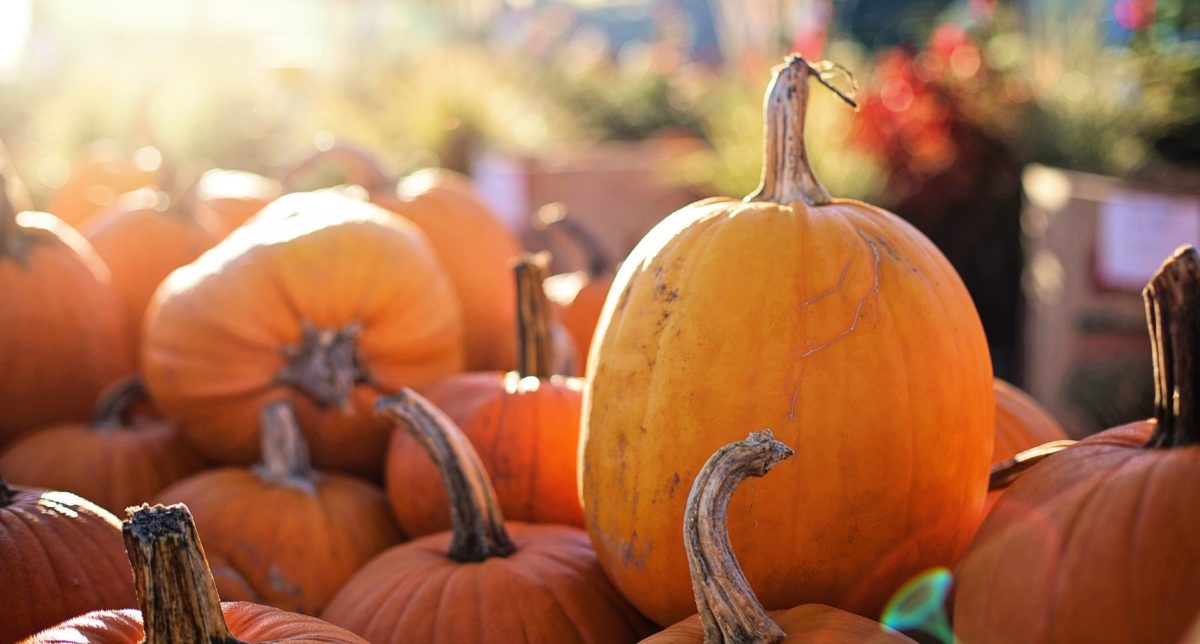 Citrouille d'Halloween