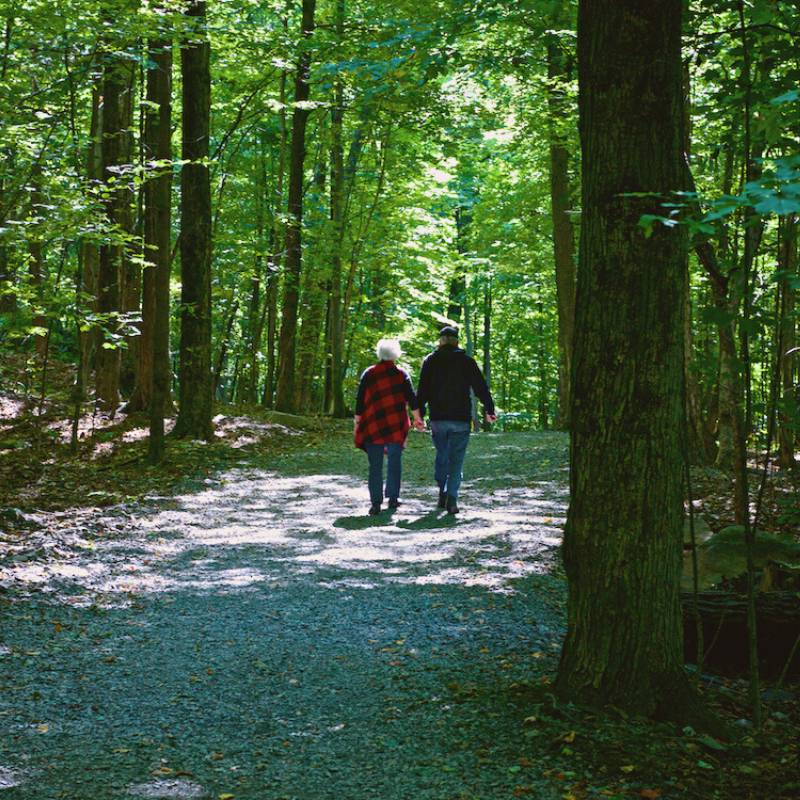 Les Boises Miner Parc Ecologique Pierre Horace Boivin