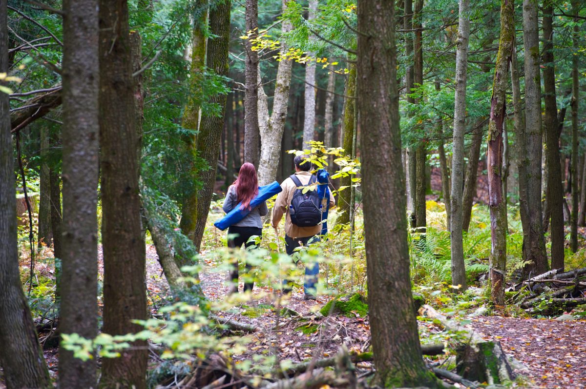 Les Boisés Miner - Parc écologique Pierre-horace-boivin