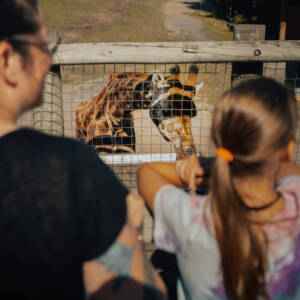 Famille au zoo de Granby_Giraffe_Danovick Samson