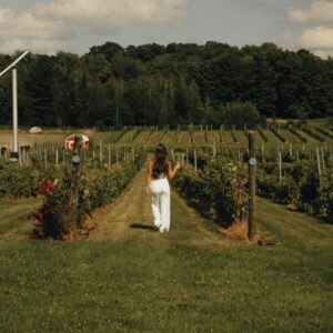 Image_haltes gourmandes_agrotourisme