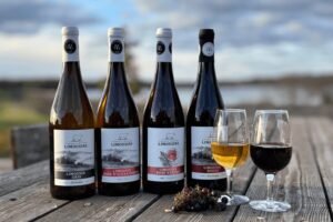 Vignoble Côte des Limousins